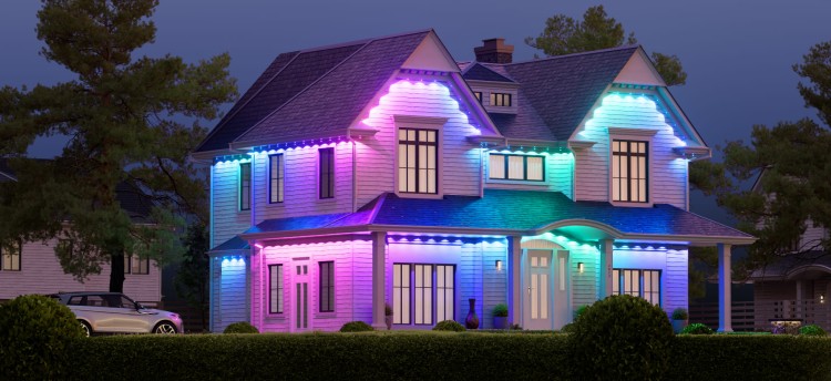 POL_MediumHouse_Blue&amp;Purple_4347x2000.jpg