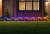 GardenLights_Flowers_4000x2250px_expanded.png
