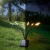 SGL_Day-Night_2160X2160_SunFlare.png