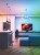 Bulbs_Packaging_3000x4000px.jpg