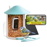 Birdfy Feeder z panelem słonecznym – karmnik z kamerą i AI