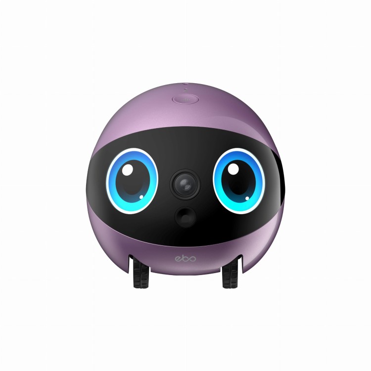 EBO Air 2 Plus Nebula Purple (2)_1.jpg
