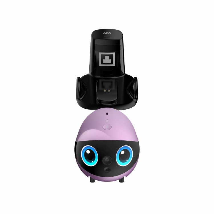 EBO Air 2 Plus Nebula Purple (5).jpg
