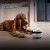EBO-Air-Plus-Scene-PC 3.jpg