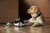 Rola PetPal Life Style 10.jpg