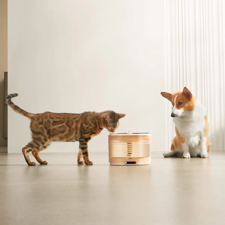 ROLA Fountain-04.jpg