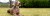 banner1.jpg
