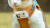 beep .png