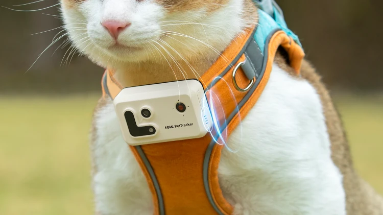beep .png