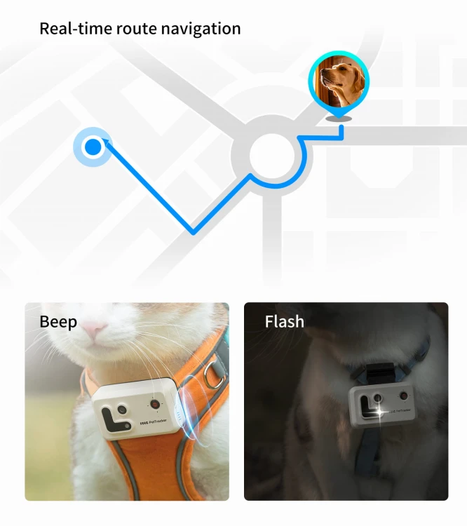 Find your pets with a single click..jpg