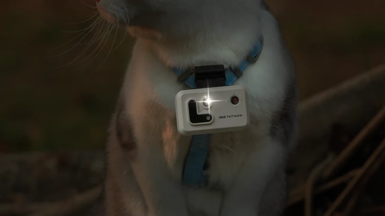 flash .png