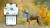 Quadruple Positioning know your pet’s exact location and track their movement live – anytime, anywhere..jpg