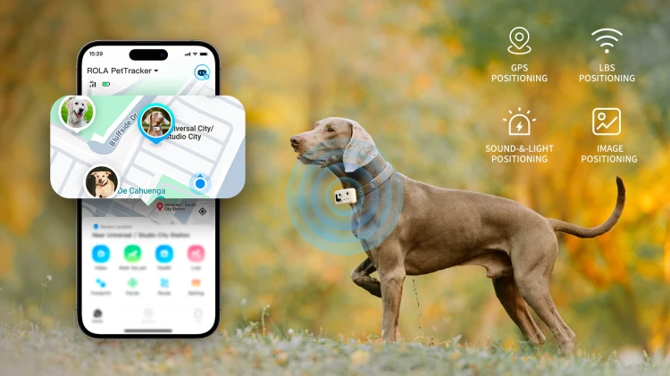 Quadruple Positioning know your pet’s exact location and track their movement live – anytime, anywhere..jpg