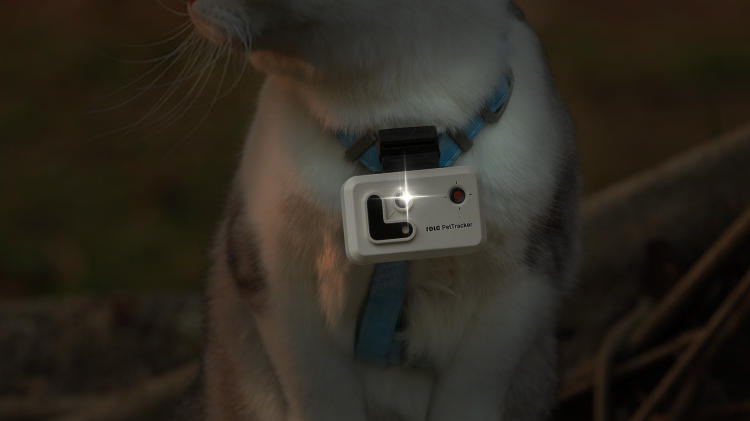 flash .png