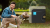 Scan the QR code, get the pet’s info.png