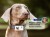 Talk to your pet – anytime, anywhere.jpg