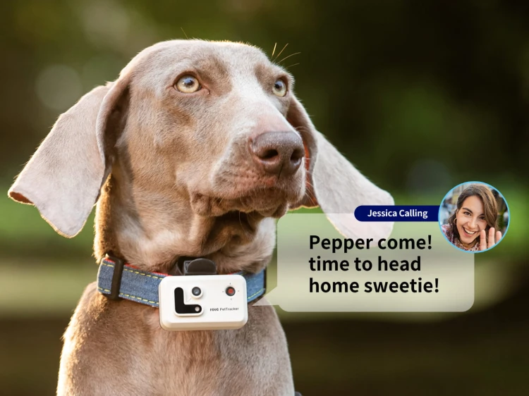 Talk to your pet – anytime, anywhere.jpg